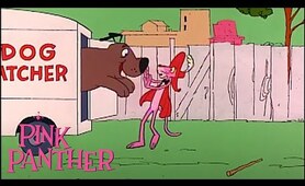 Pink Panther Saves The Dogs | 35-Minute Compilation | Pink Panther Show