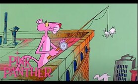 Pink Panther Teaches a Bird How to Fly | 35-Minute Compilation | Pink Panther Show