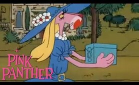 The Pink Panther in "The Pink Package Plot"
